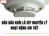 Đầu Báo Khói Là Gì? Nguyên Lý Hoạt Động Chi Tiết